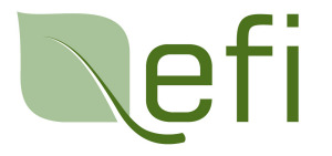 Energy Federation Inc (EFI)